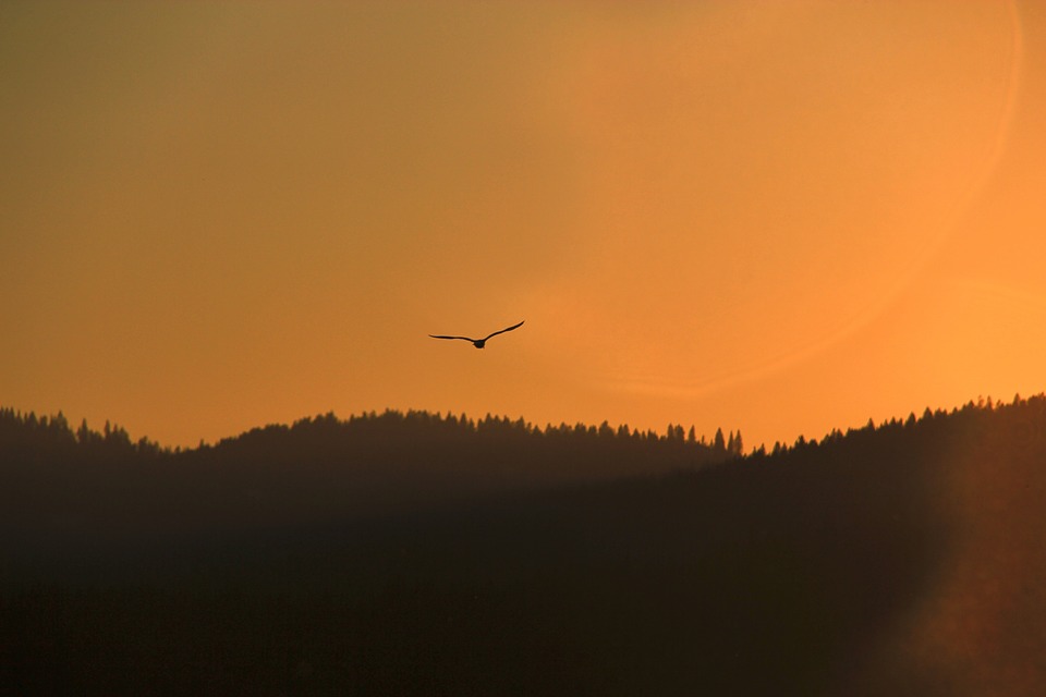 sunset-mountains-1082176_960_720